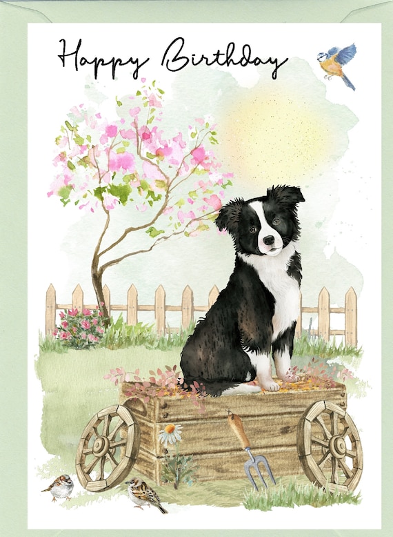 1 x biglietto di auguri (inserto fotografico) - Lupo selvatico cane animale - vuoto compleanno celebrazione anniversario #8235