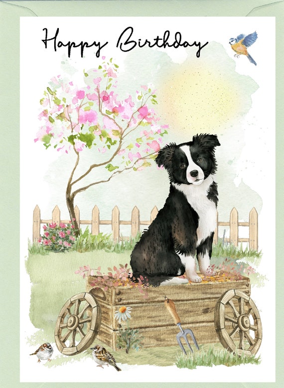 Biglietto D'Auguri Con Border Collie Marrone – Interno Vuoto, 144x148 Mm, Con Busta, Per Compleanno E Anniversario #8628