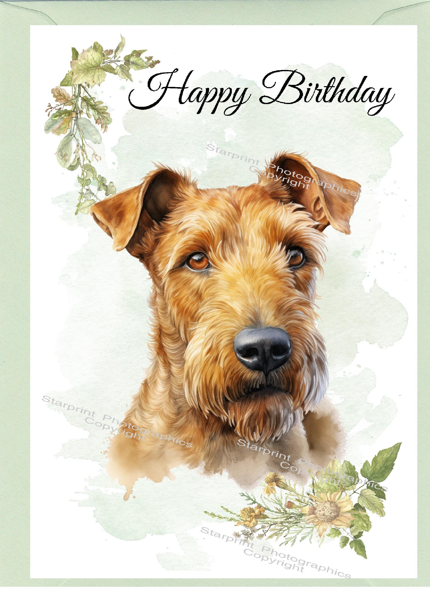 Irish Terrier Dog 
