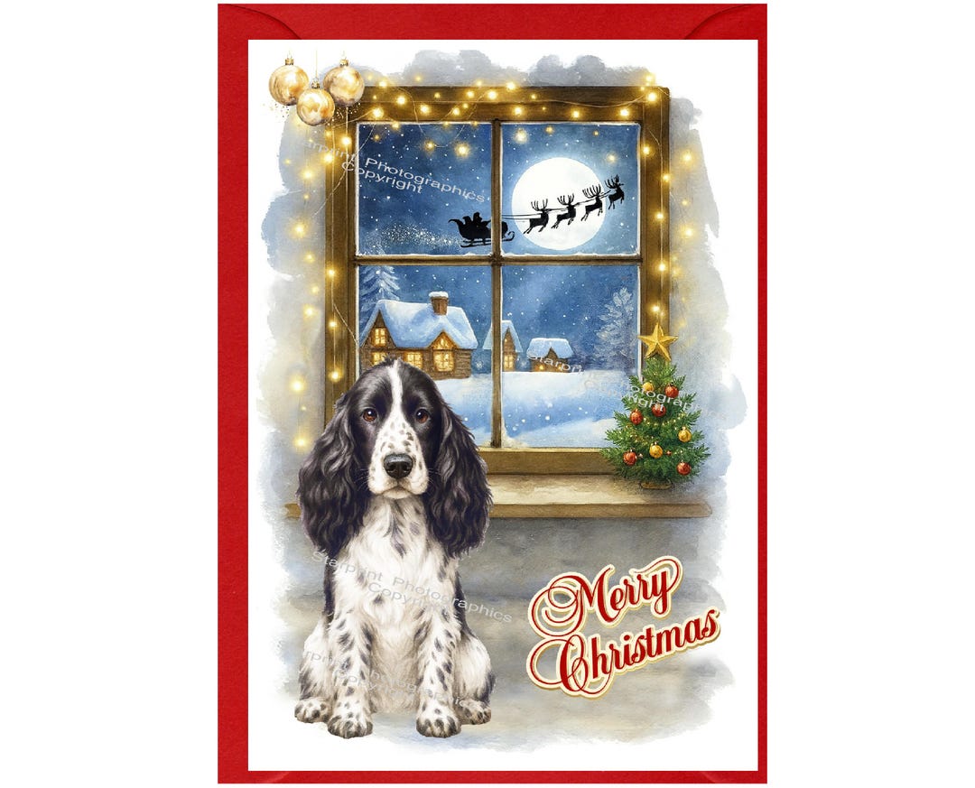 Cocker Spaniel (black & White) Dog Christmas Card (6" X 4") Blank ...