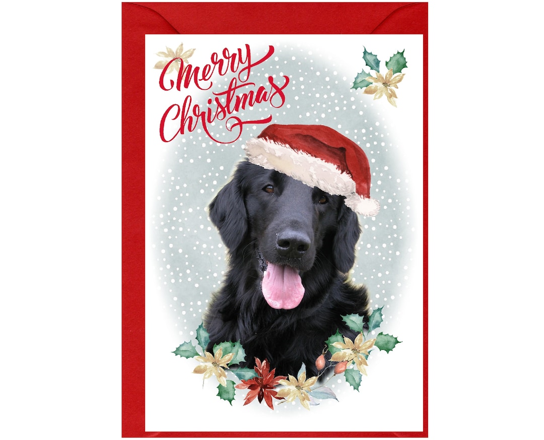 Flatcoated Retriever Dog Christmas Card (6" X 4") Blank Inside - With ...