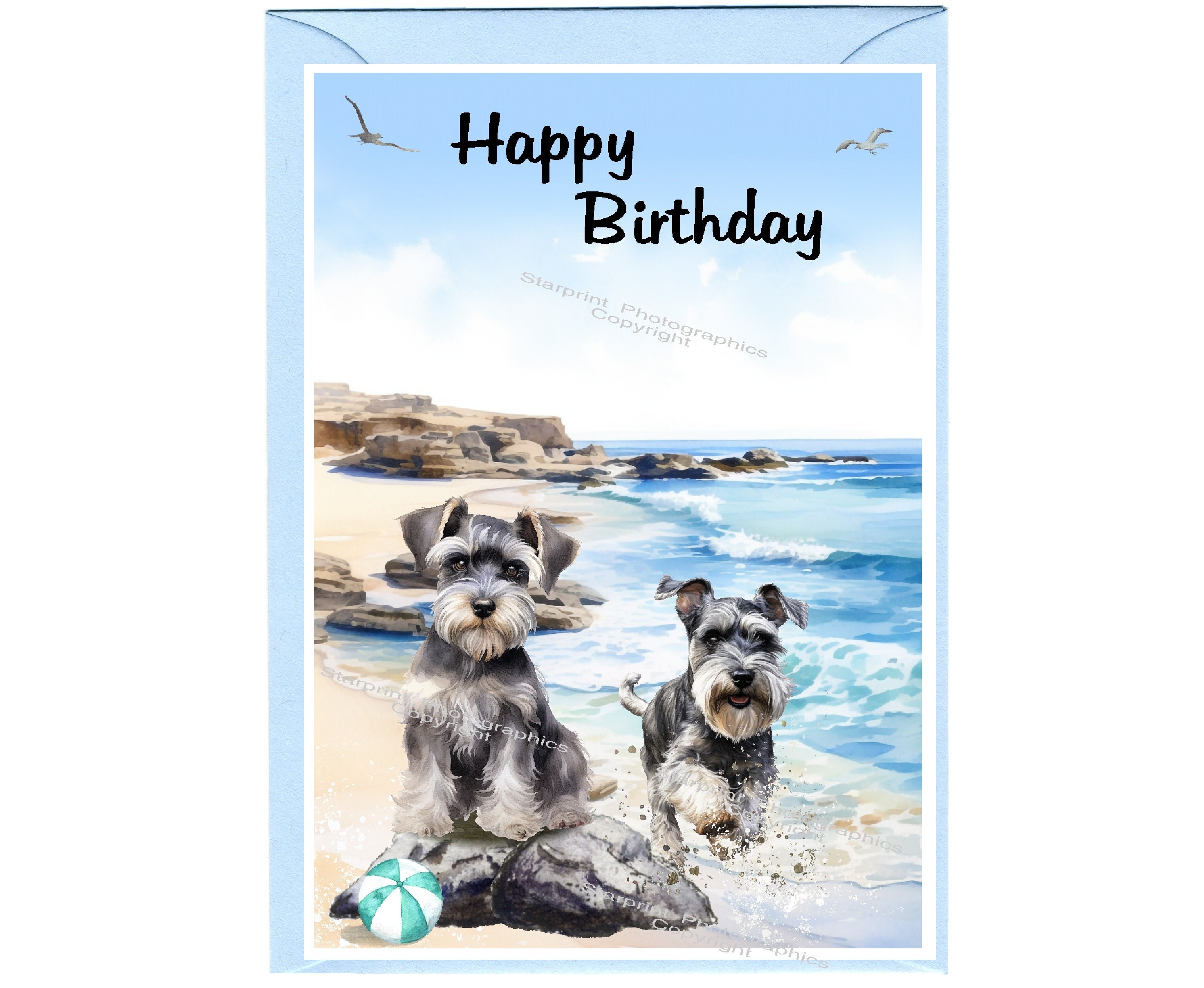 Cappello Di Compleanno Che Indossa Il Cucciolo Di Cane Dello Schnauzer Miniatura Su Bianco