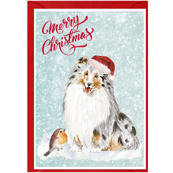Shetland Sheepdog / Sheltie Dog Weihnachtskarte (6" x 4") Innen blanko - mit Umschlag.  Perfekter Artikel für jeden Hundeliebhaber