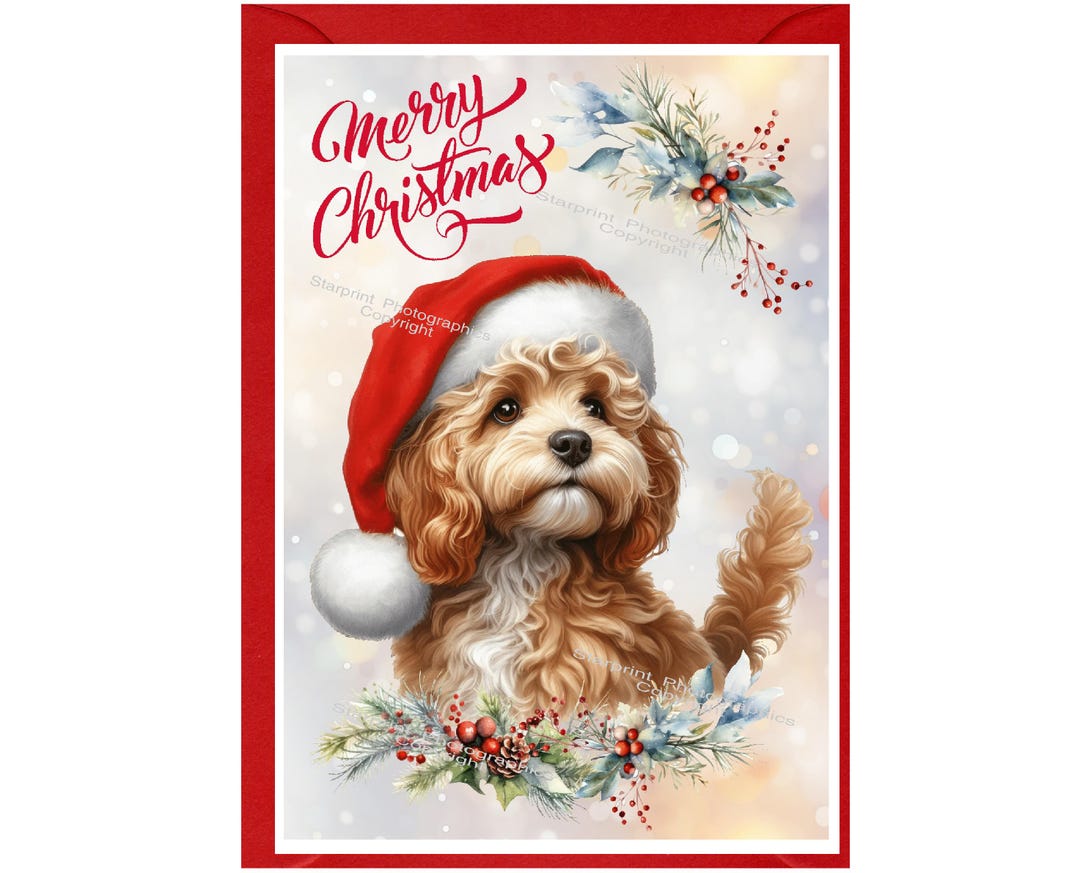 Doodle / Cavapoo Dog Christmas Card (6" X 4") Blank Inside - With ...