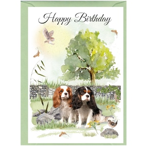 Cartão "Feliz Aniversário" para Cavalier King Charles Spaniel (15,2 cm x 10,1 cm) com envelope - Em branco por dentro para sua própria mensagem.