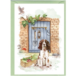 Tarjeta de felicitación personalizada para perros Springer Spaniel inglés (6" x 4") con sobre. Se puede dejar en blanco si se prefiere