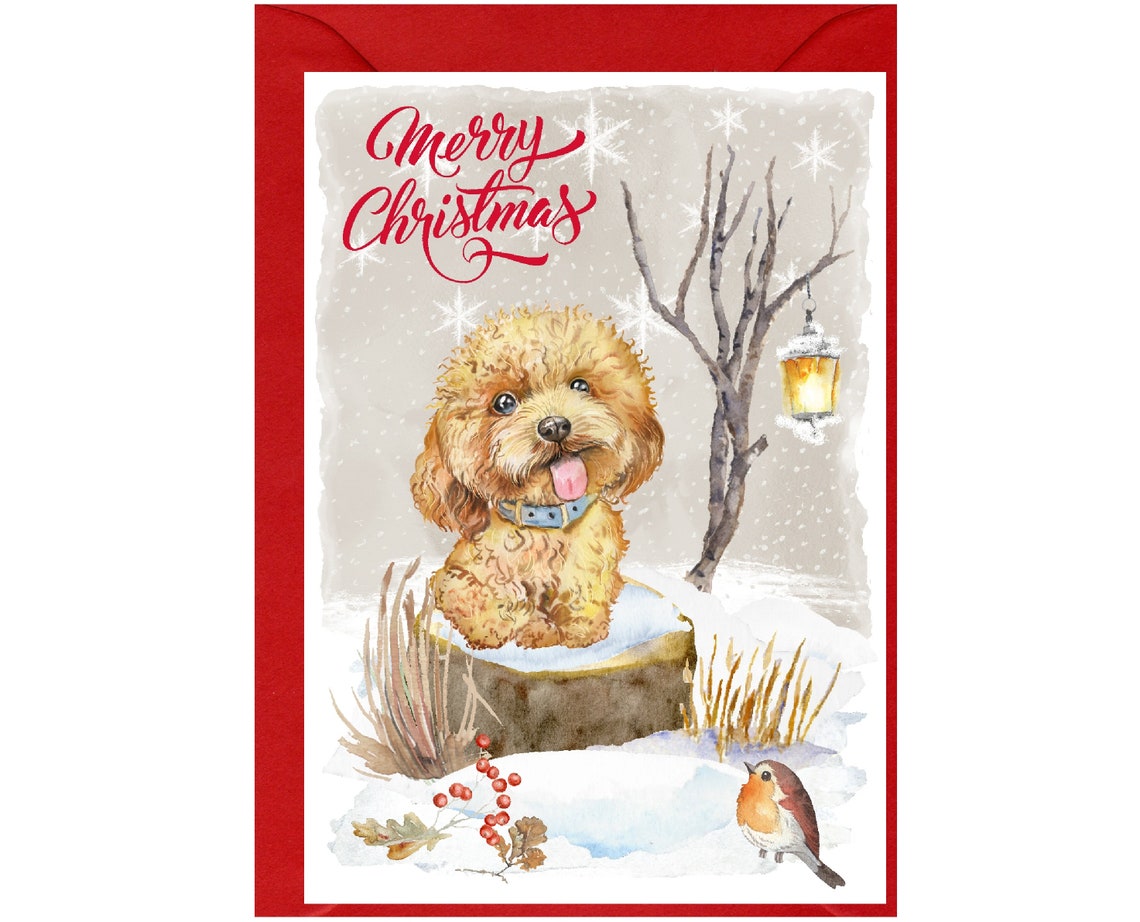 Apricot Poodle Dog Christmas Card (6" X 4") Blank Inside - With ...
