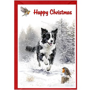Carte de Noël pour chien border collie (6 x 4 po.) vierge à l'intérieur - avec enveloppe.  Article parfait pour tous les amoureux des chiens