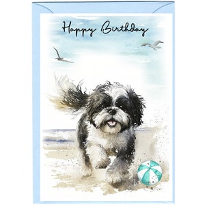Shih Tzu Hund ""Happy Birthday"" Karte (15,5 x 10,5 cm) mit Umschlag - Leere Innenseite für Ihre eigene Nachricht." Perfekt für jeden Hundefreund