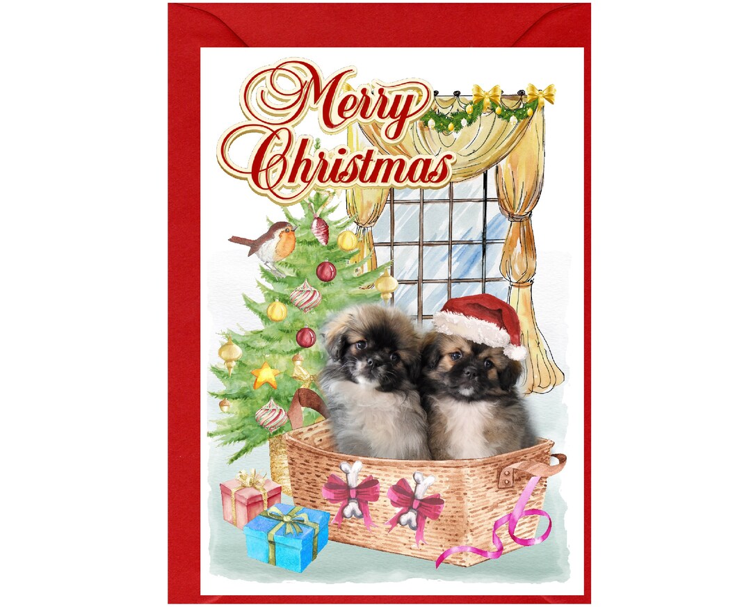 Tibetan Spaniel Dog Christmas Card (6" X 4") Blank Inside - With ...