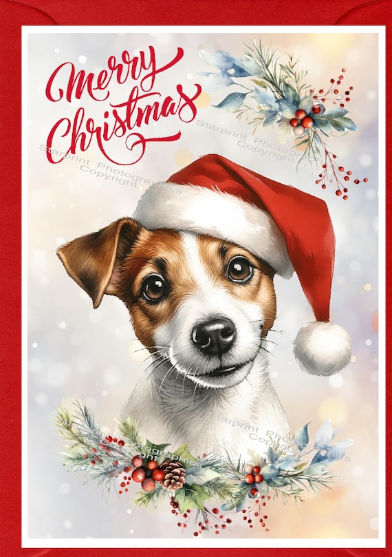 Biglietto Natale Nipote Speciale - Design Pupazzo Di Neve Con Pettirosso