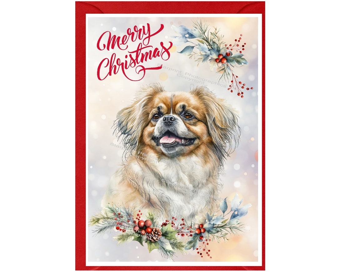 Tibetan Spaniel Dog Christmas Card (6" X 4") Blank Inside - With ...