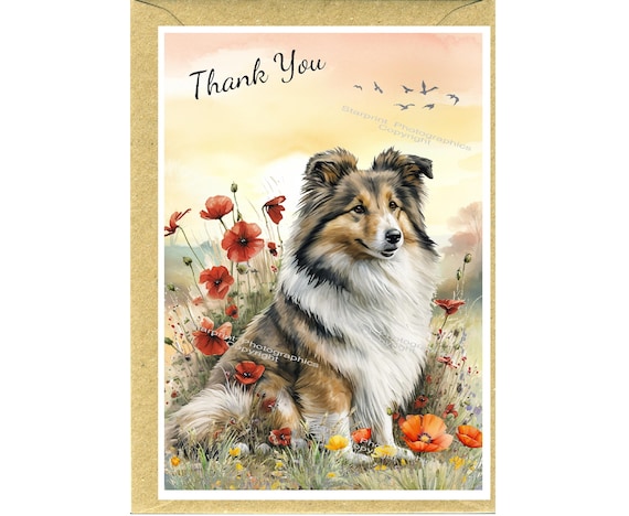 シェットランド シープドッグ / シェルティ ドッグの「ありがとう