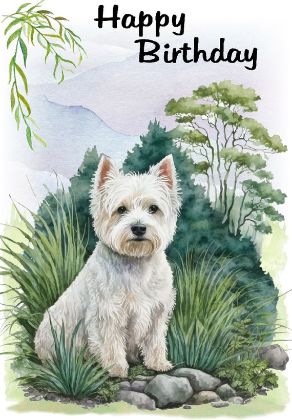 Carte D'anniversaire Vierge Avec Miniature Schnauzer Et Batman - Sous Cellophane - Neuf UK
