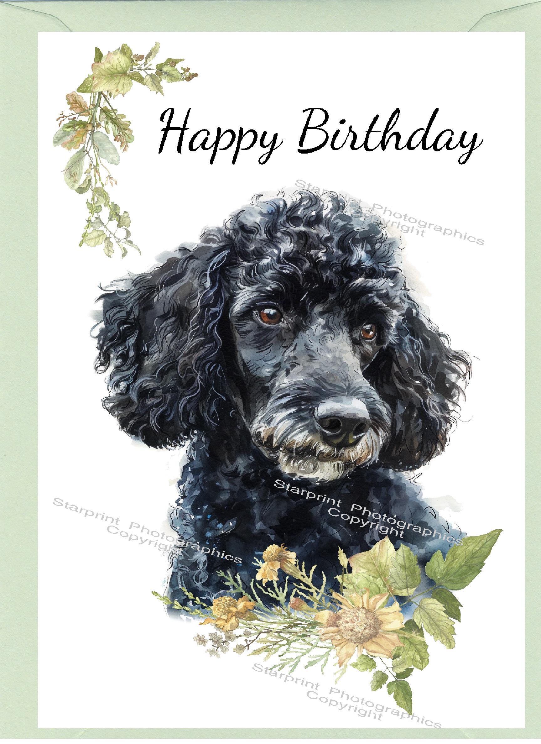 Geburtstagskarte „Black Poodle With Flowers“ Für Hundeliebhaber | 17,5x12,5 Cm | Blanko Innen | Mit Umschlag
