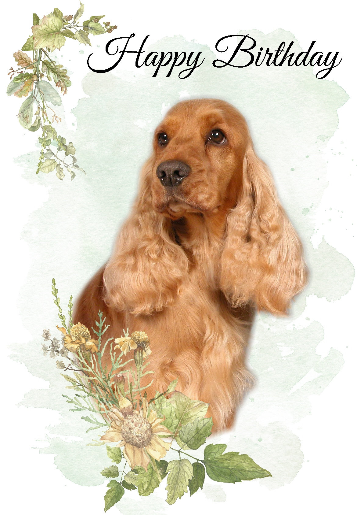 Biglietto Compleanno Cane Cavalier King Charles - Beau Willows