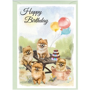Geburtstagskarte mit Spitz-Hund ""Happy Birthday"" (15,5cm x 10cm) mit Umschlag." Leer innen für Ihre eigene Nachricht. Perfekt für jeden Hundefreund