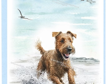Irish Terrier Dog 