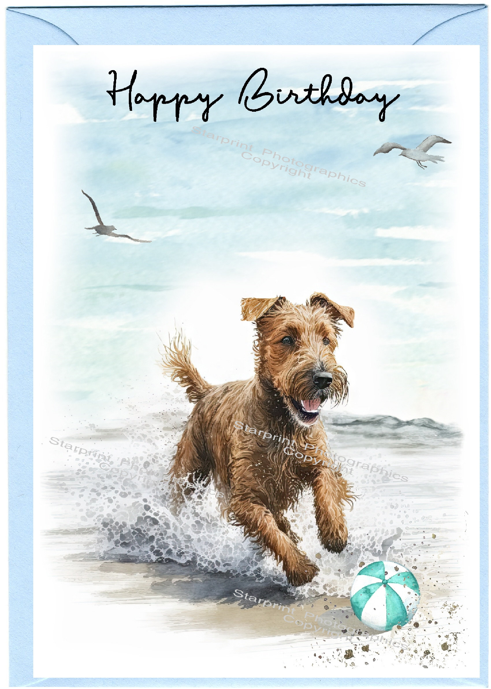 Irish Terrier Dog 