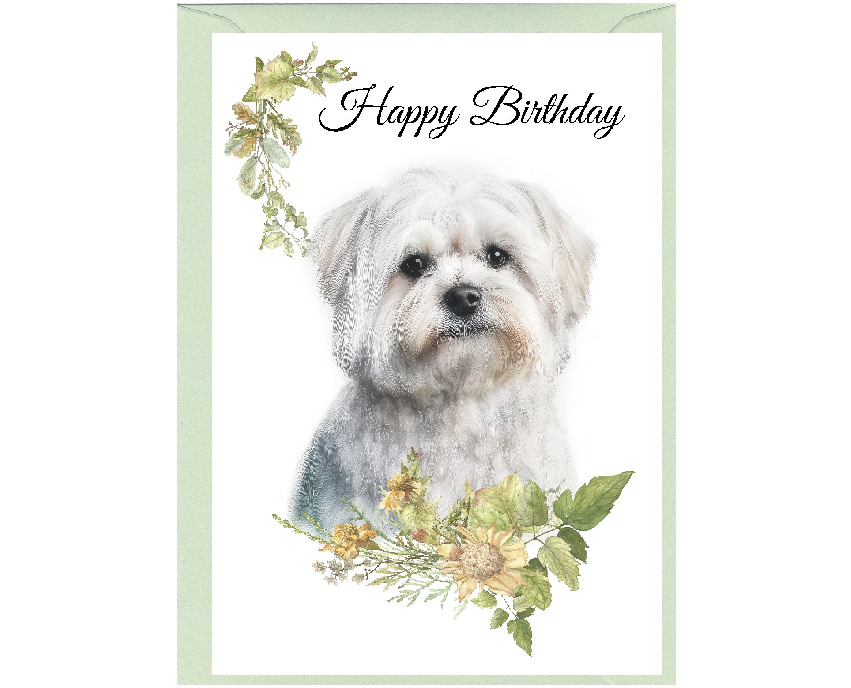 New Puppy Gift Maltese Dog Birthday Card - Premium 5x7 Inch Blank Note ...