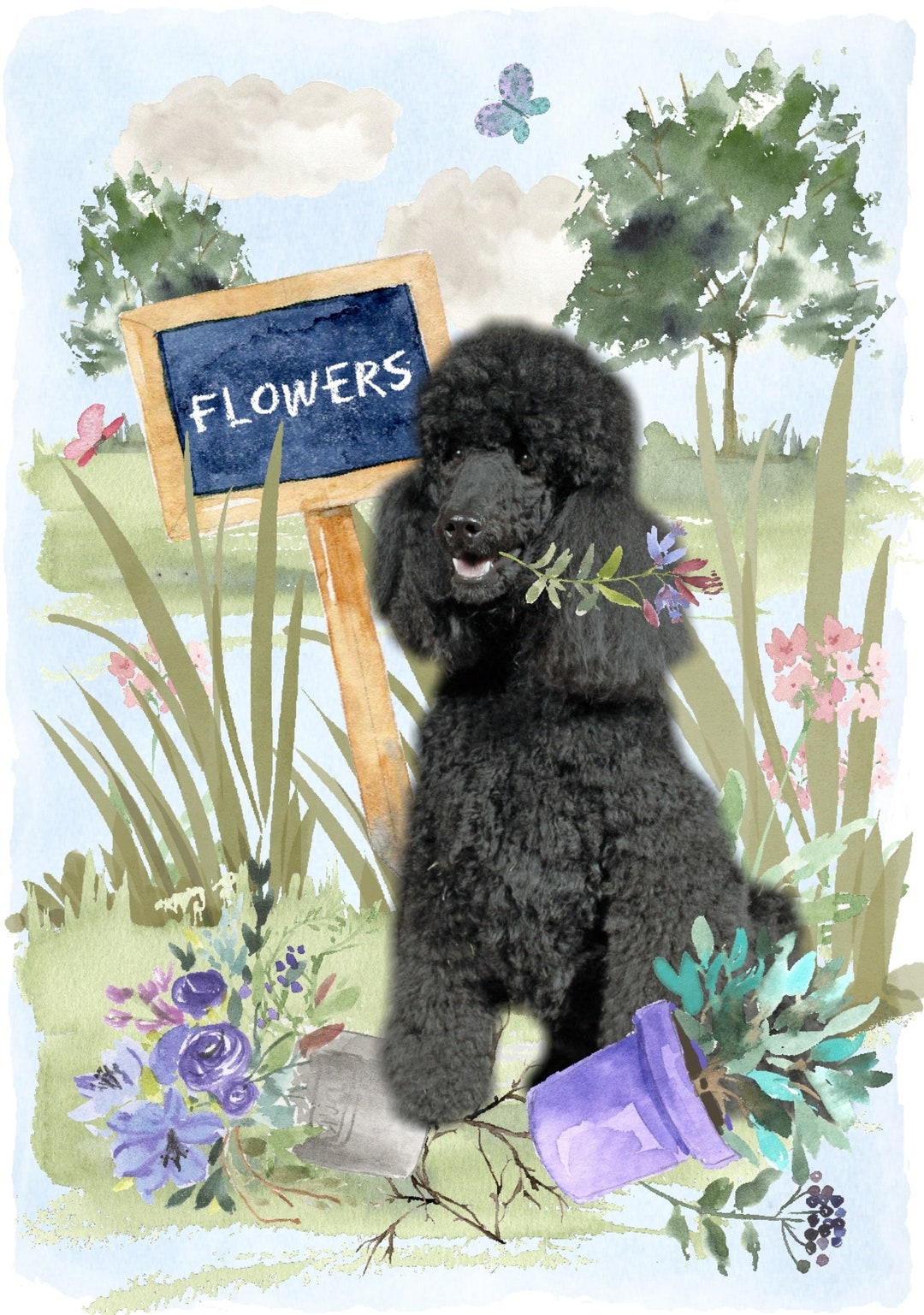 Poodle (black) Dog Blank Card /notelet (6" X 4") With Envelope ...