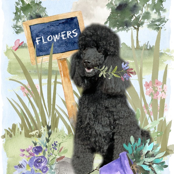 Caniche (noir) de chien /Notelet carte vierge (6 "x 4") avec enveloppe - jardinier paysagiste conception.  Article parfait pour tout amateur de chien