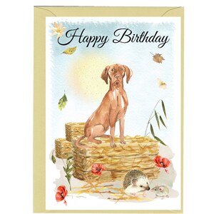 Carte « Joyeux anniversaire » Chien Vizsla hongrois (6 x 10 cm) avec enveloppe - Vierge à l'intérieur pour votre propre message. Parfait pour tous les amoureux des chiens