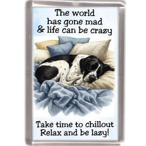Op de afbeelding: Een rechthoekige magneet met een illustratie van een slapende zwart-witte hond. De tekst luidt: "De wereld is gek geworden en het leven kan gek zijn. Neem de tijd om te chillen. Ontspan en wees lui!"