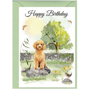 Poodle Apricot Dog &quot;Happy Birthday&quot; Card (6&quot;x 4&quot;) with Envelope. Blank inside for your own message. Perfect for any dog lover