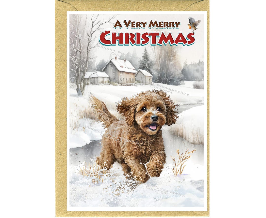 Cavapoo / Doodle Dog Christmas Card (6" X 4") Blank Inside - With ...