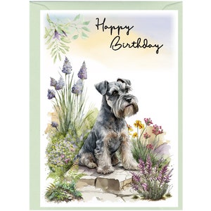Karte „Happy Birthday“ mit Zwergschnauzer-Hund (15,2 x 10,2 cm) mit Umschlag – innen unbeschriftet für Ihre eigene Nachricht. Perfekt für jeden Hundeliebhaber