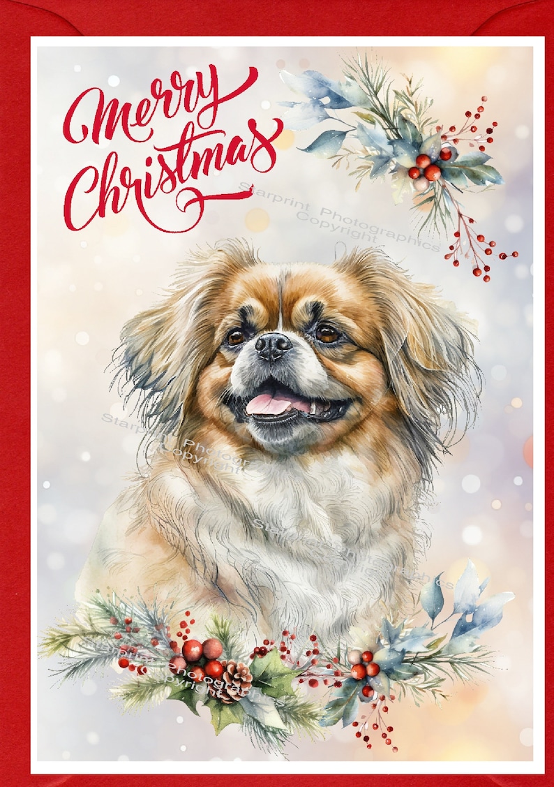 Tibetan Spaniel Dog Christmas Card (6" X 4") Blank Inside - With ...