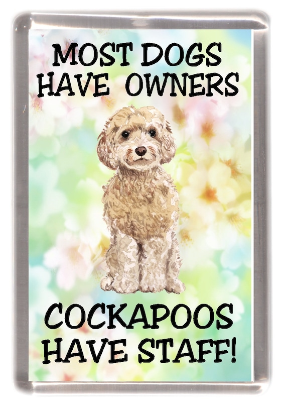 Aesthetic Best Cockapoo Names Goldendoodle Dog Not All Angels Have - Main Image