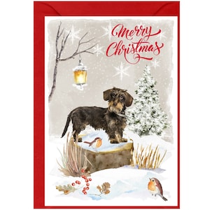 Carte de Noël pour chien teckel (à poil dur) (6 x 4 po.) vierge à l'intérieur - avec enveloppe.  Article parfait pour tous les amoureux des chiens