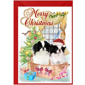 Japanische Chin Hunde-Weihnachtskarte (6 "x 4") Leere Innenseite - mit Umschlag."  Perfekter Artikel für jeden Hundeliebhaber