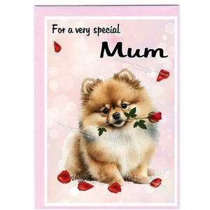 Spitz Hund Blanko Karte für Mama (6 "x 4") mit Umschlag - Ideal für Muttertag, Geburtstag, etc.