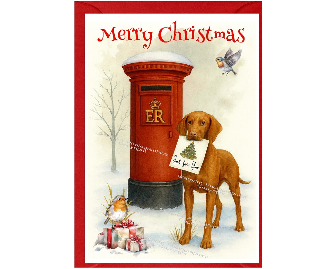 Hungarian Vizsla Dog Christmas Card (6" X 4") Blank Inside - With ...