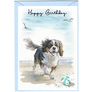 Biglietto "Happy Birthday" per cani Cavalier King Charles Spaniel (tricolore) (6 "x 4") con busta - Interno vuoto per il tuo messaggio.