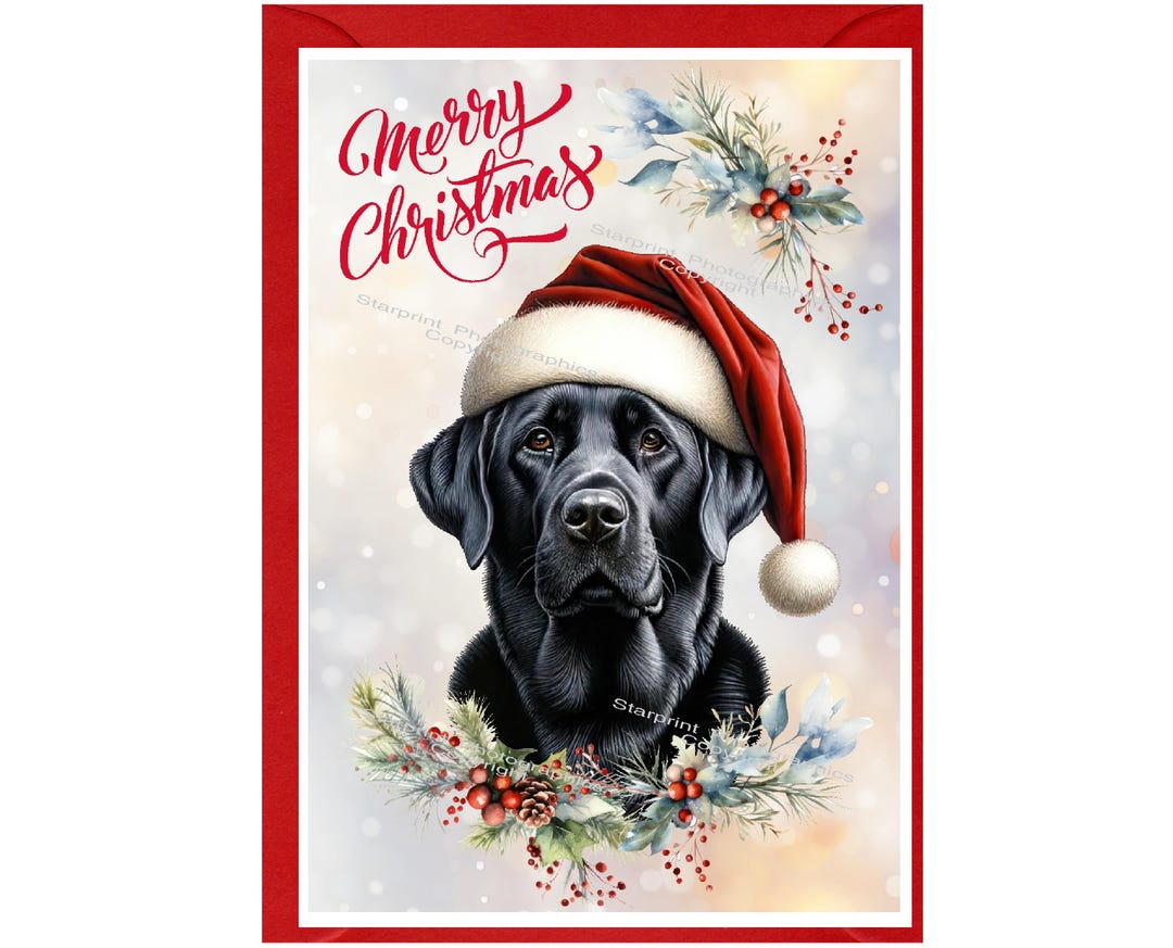 Labrador Retriever Black Dog Christmas Card (6" X 4") Blank Inside ...