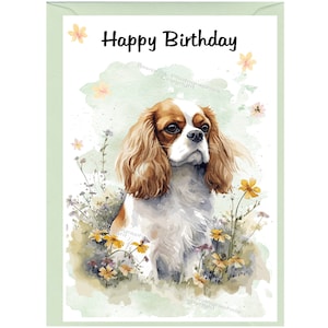 Biglietto di auguri "Buon compleanno" con cane Cavalier King Charles Spaniel (Blenheim) (15,2 x 10,2 cm) e busta. Interno vuoto per scrivere il tuo messaggio.