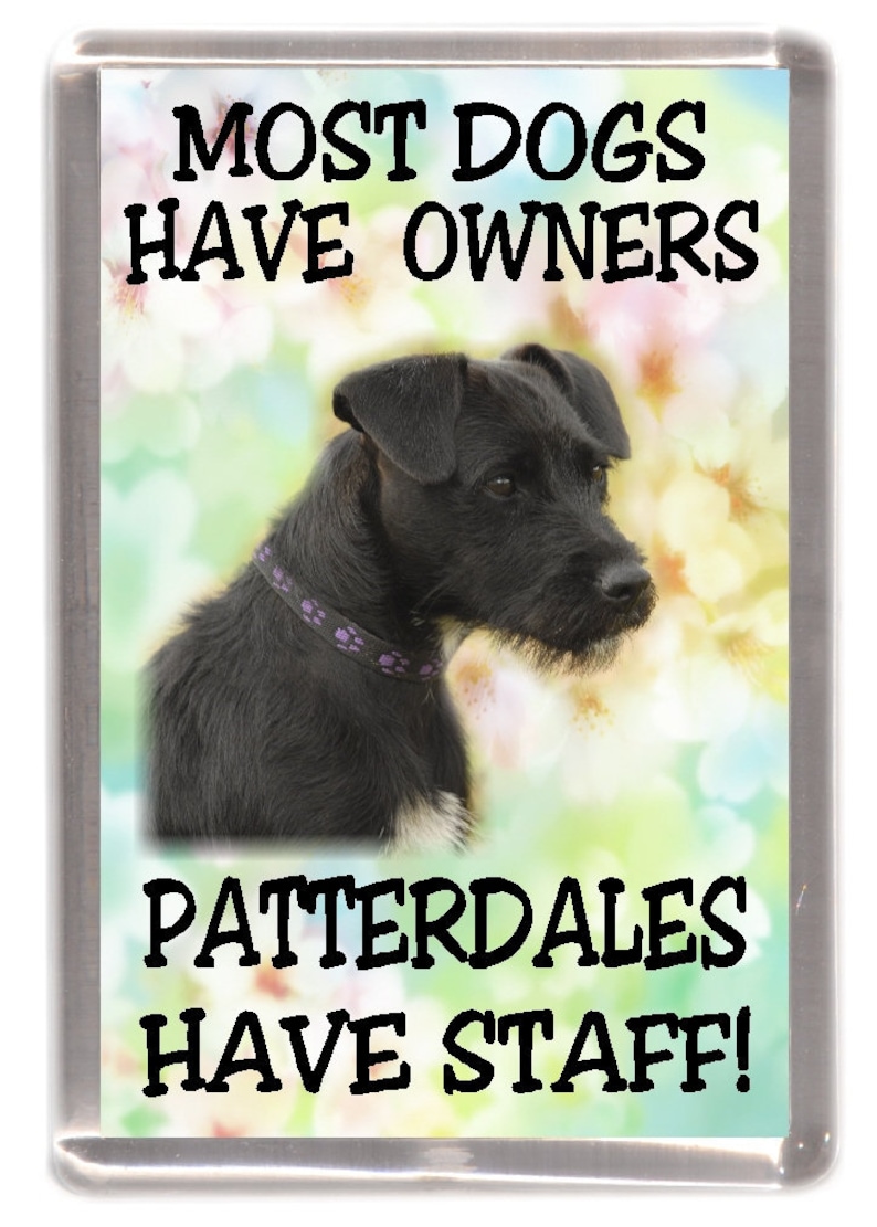 Manchesters Have Staff/" Manchester Terrier Dog Fridge Magnet /"Most Dogs ...