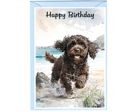 Cavapoo Doodle Chocolate Brown Dog 