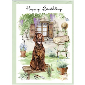 Biglietto "Happy Birthday" per cane setter rosso irlandese (6" x 4") con busta - Interno vuoto per il tuo messaggio. Perfetto per ogni amante dei cani