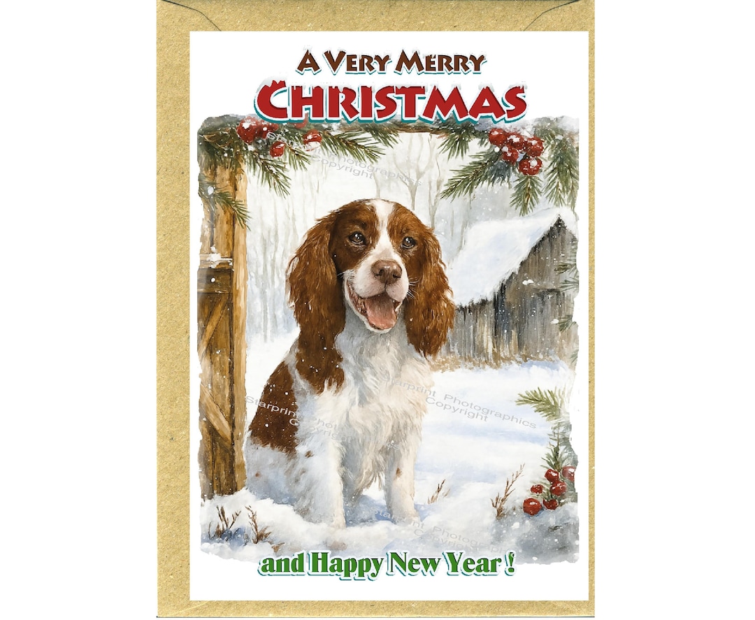 English Springer Spaniel Dog Christmas Card (6" X 4") Blank Inside ...