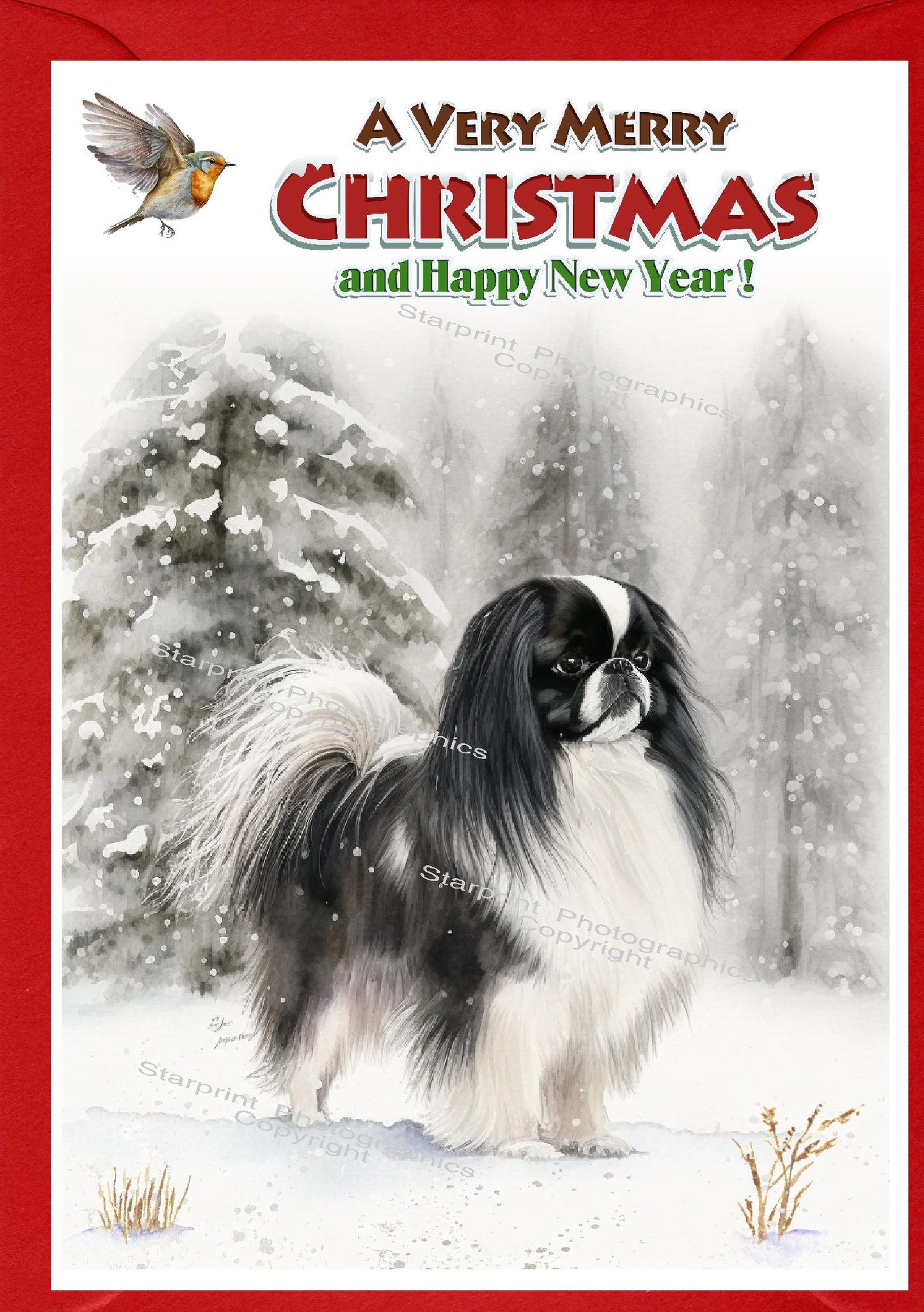 Japanese Chin Dog Christmas Card (6" X 4") Blank Inside - With Envelope ...