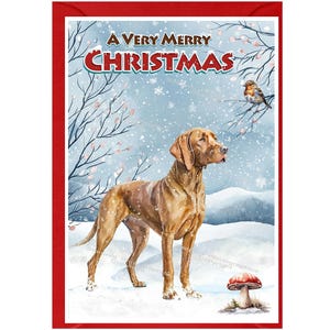 Carte de Noël Hongrois Vizsla Dog (6 x 4 po.) vierge à l'intérieur - avec enveloppe. Article parfait pour tous les amoureux des chiens