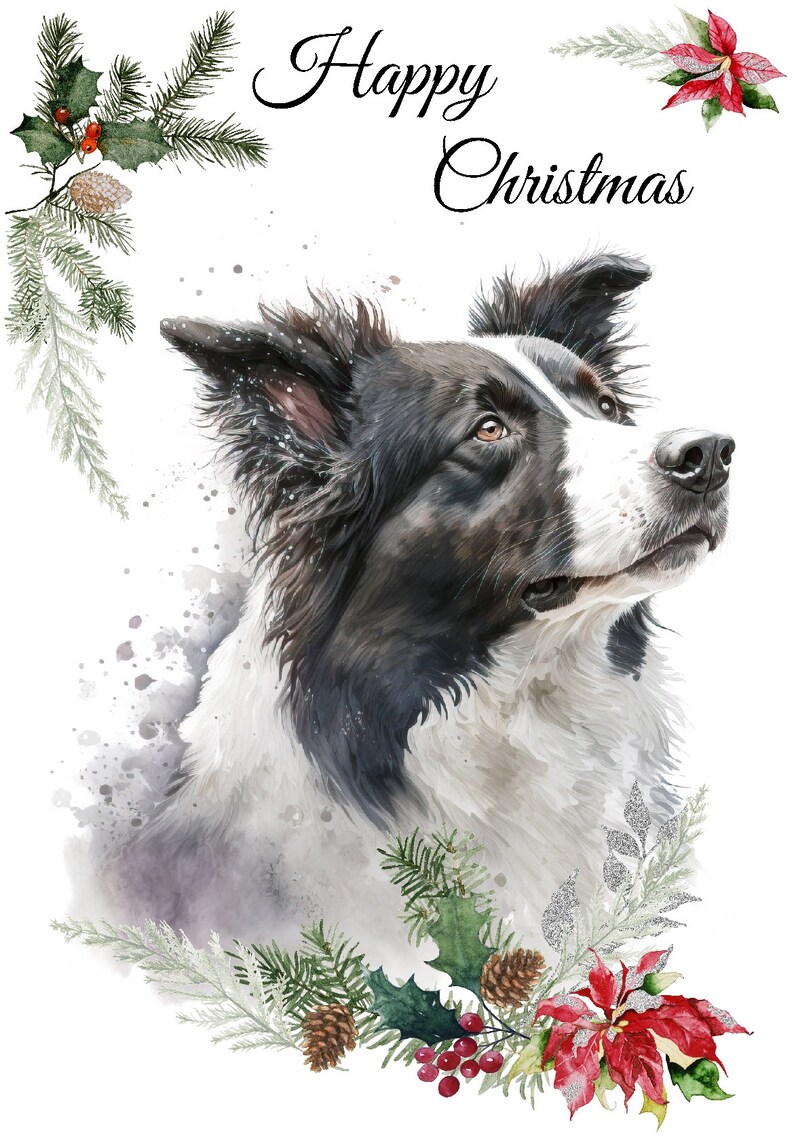 Border Collie Dog Christmas Card (6" X 4") Blank Inside - With Envelope ...
