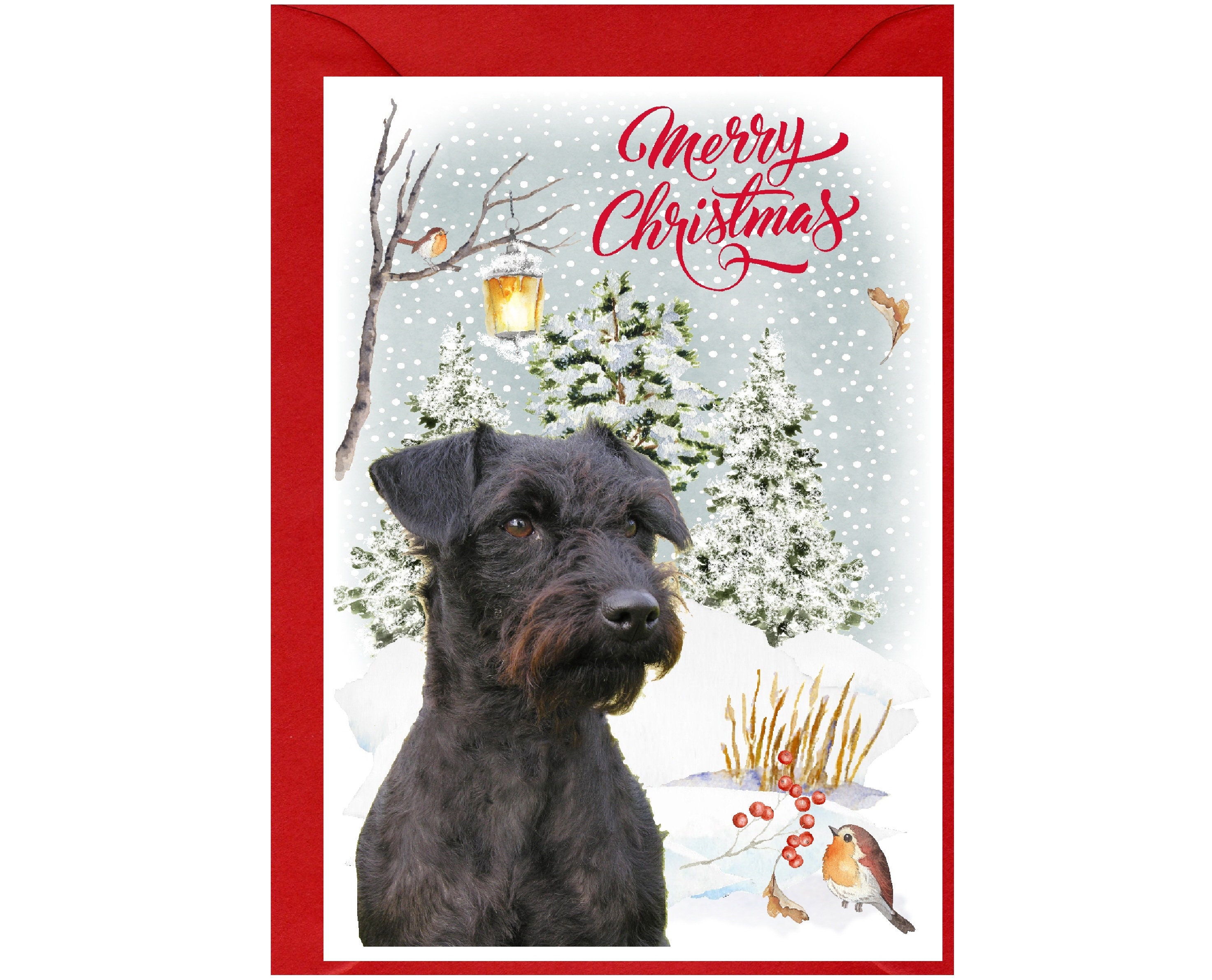 Terriers 4x6 Note Cards & Collectible Tin