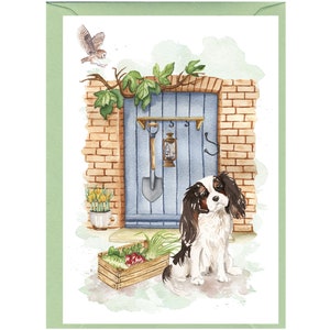 Biglietto d'auguri/notelet personalizzato per cani Cavalier King Charles Spaniel (6" x 4") con busta. Se si preferisce, può essere lasciato vuoto