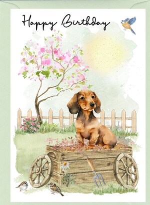Carte Pop-up Anniversaire Chien Teckel - 3D Avec Gâteau Et Boîte Cadeau - Carte à Personnaliser Pour Amoureux Des Chiens